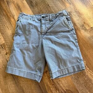 American Eagle Next Level Flex Blue Shorts Size 30 Casual Stretch